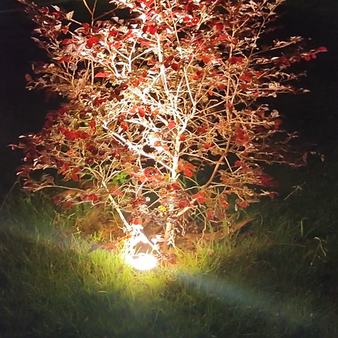 Outdoor Lighting Voltage - 5W 12V Low Voltage Led Landscape