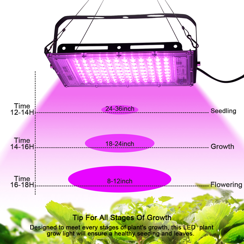 Full Spectrum LED Grow Light P - Outdoor Lighting Transformer recension och pris